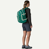 Patagonia Refugio Day Pack 30L
