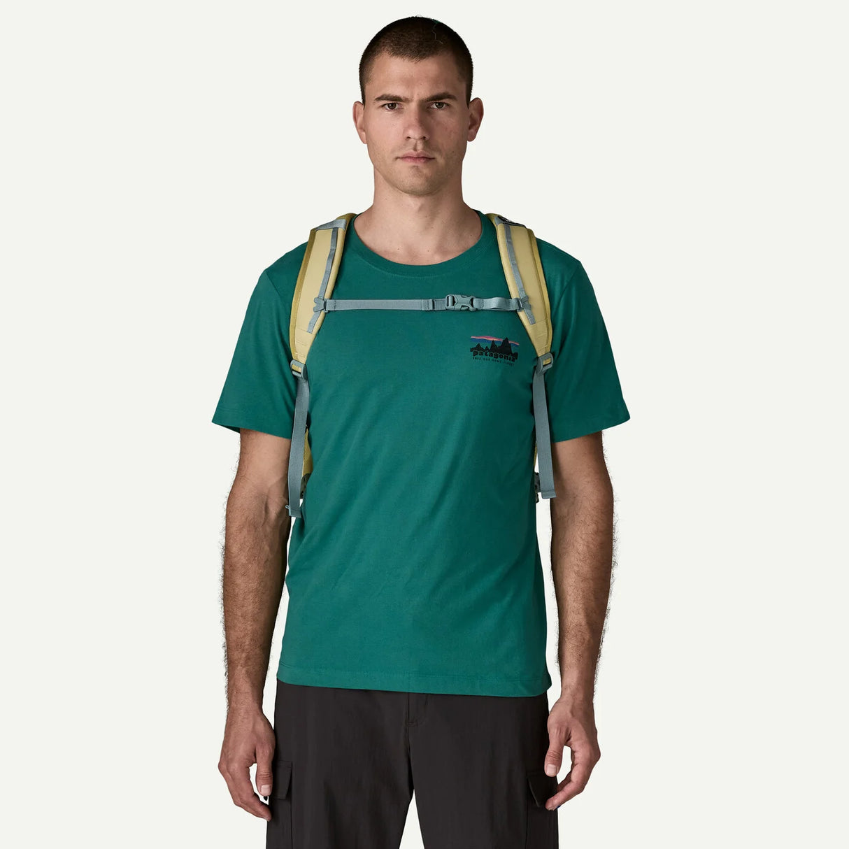 Patagonia Refugio Day Pack 30L