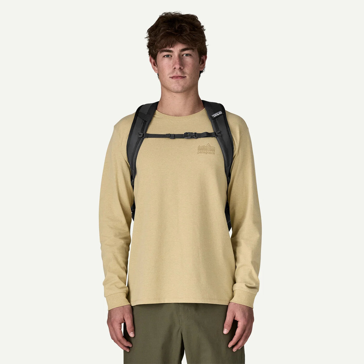 Patagonia Refugio Day Pack 30L