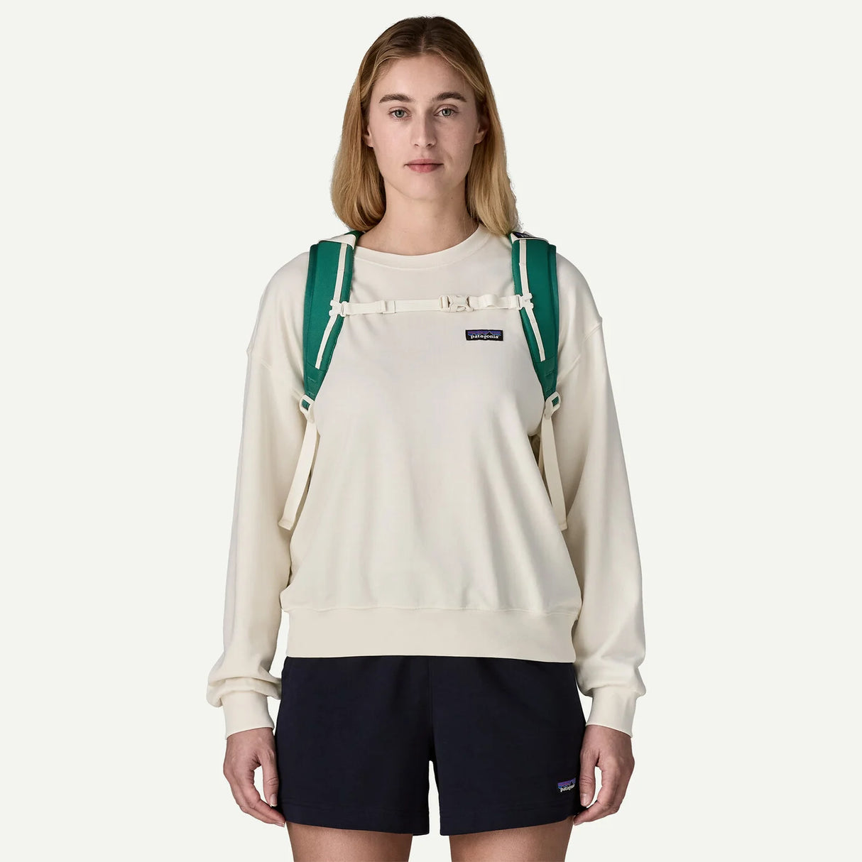 Patagonia Refugio Day Pack 32L