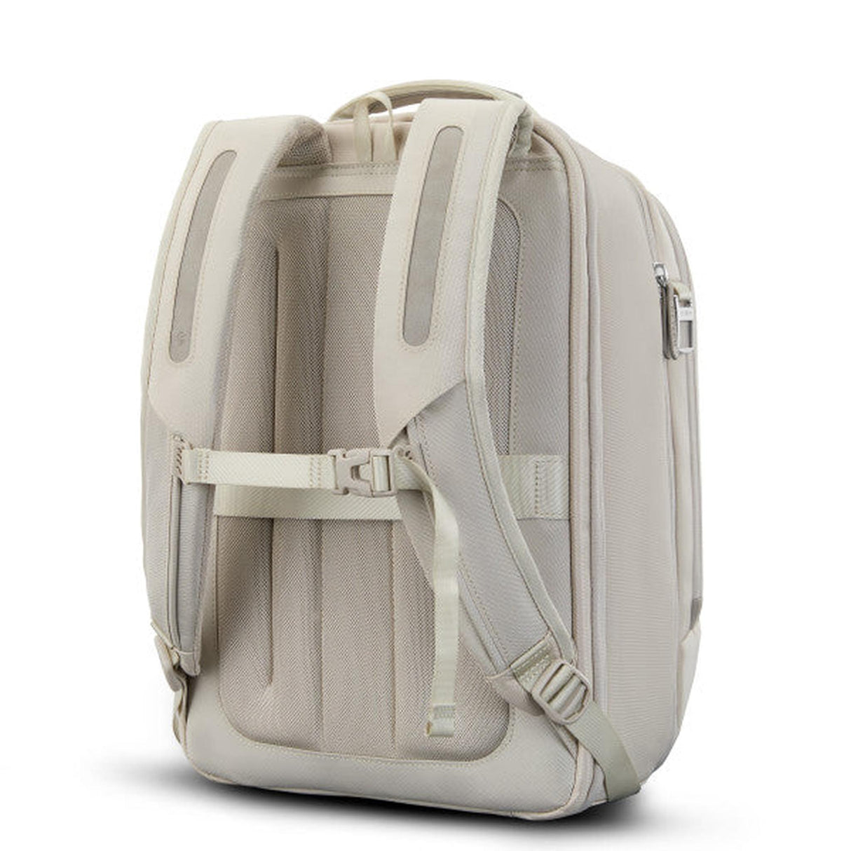 Samsonite Paralux 2-in-1 Travel Backpack