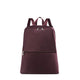 TUMI Voyageur Just In Case Backpack
