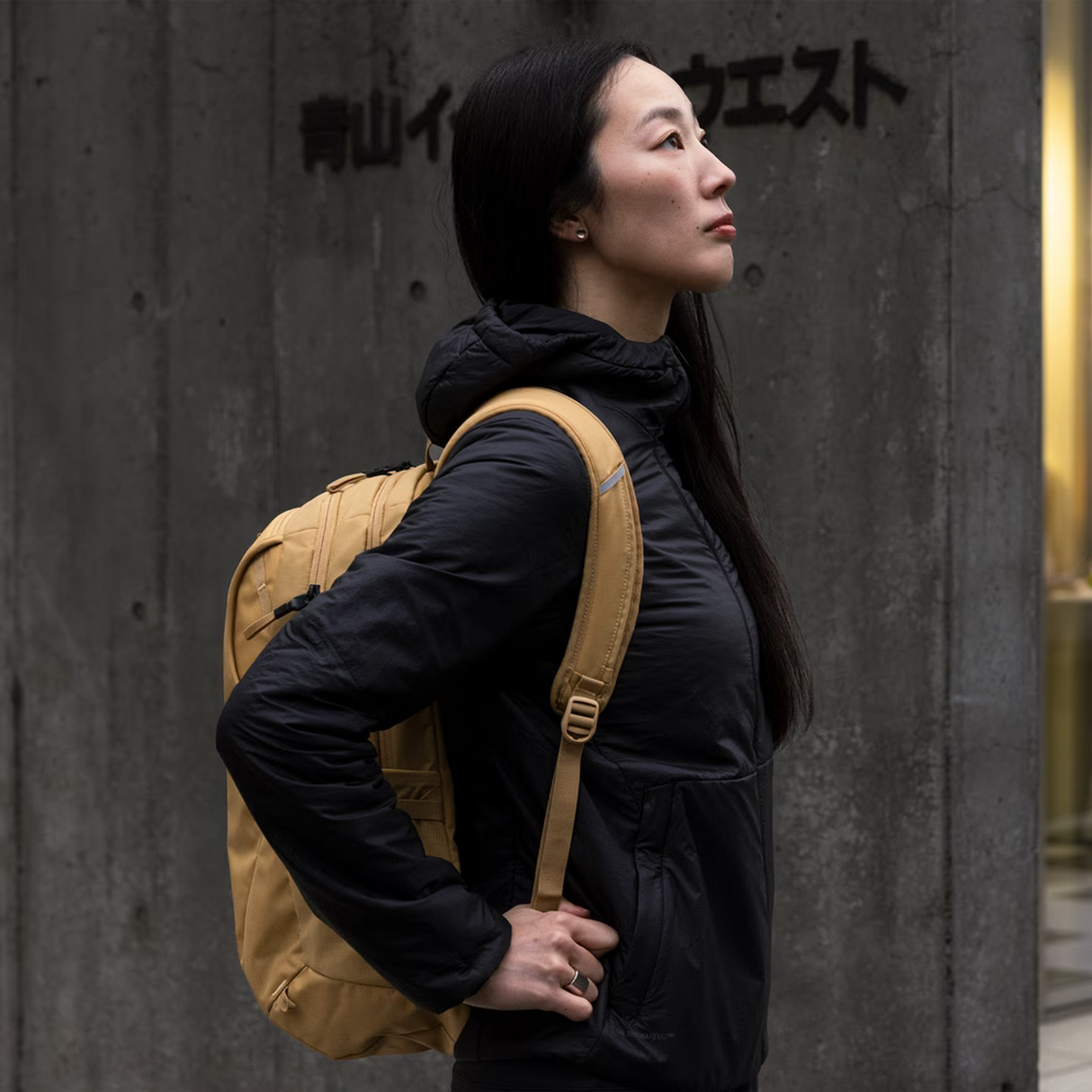 Thule Luggage Enroute Backpack 26L