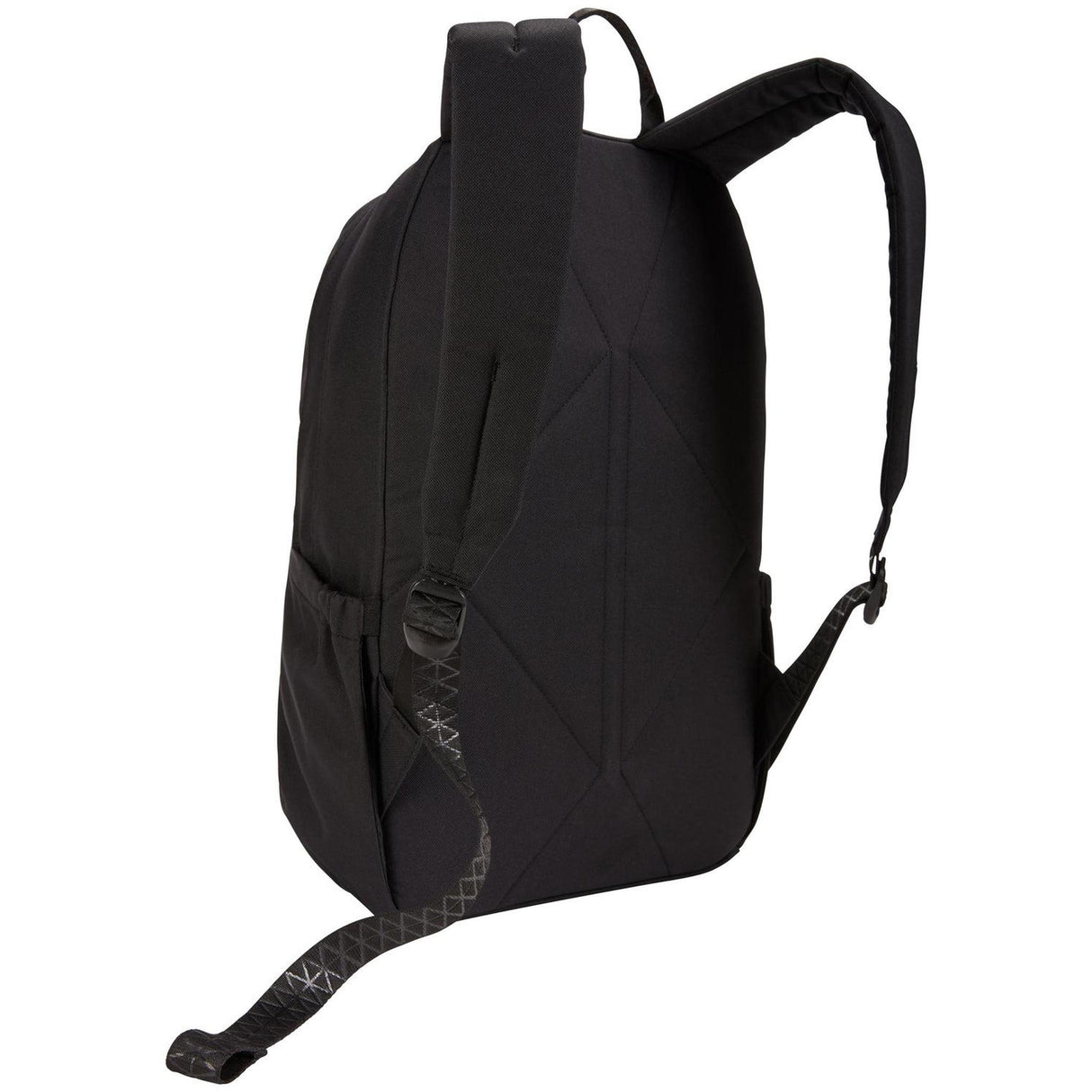Thule Luggage Indago Backpack