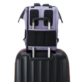 Delsey Turenne Backpack