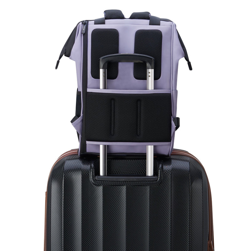 Delsey Turenne Backpack