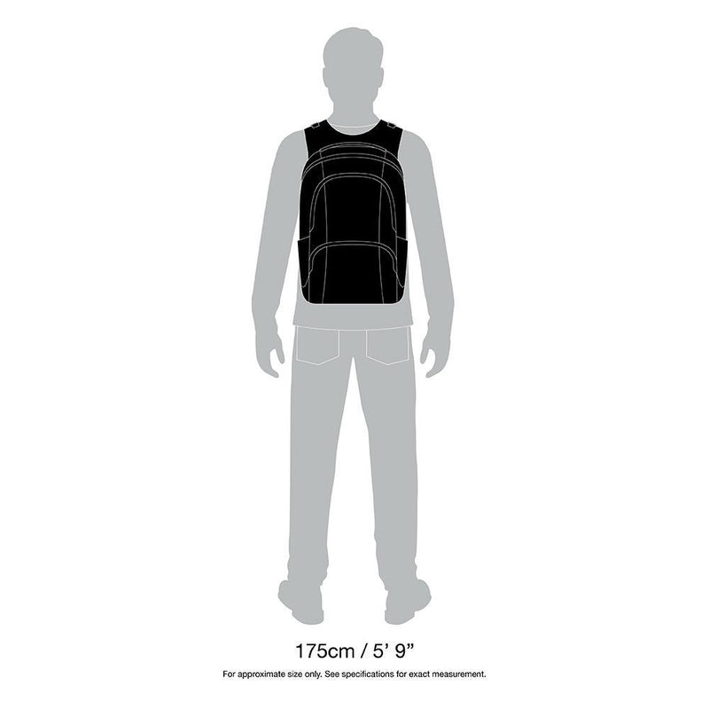 Pacsafe MetroSafe LS450 Anti-Theft 25L Backpack